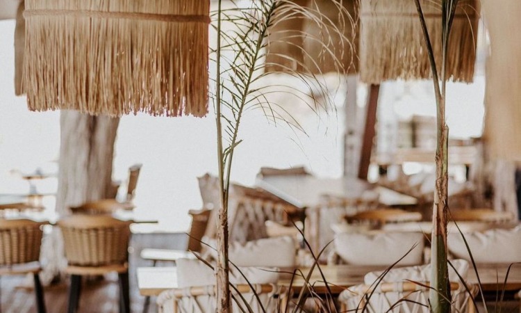 nef_company_344779271_1290025141869749_7604915402733503239_n